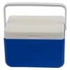 Andes 5L Cool Box for Food and Drinks, Fits 6