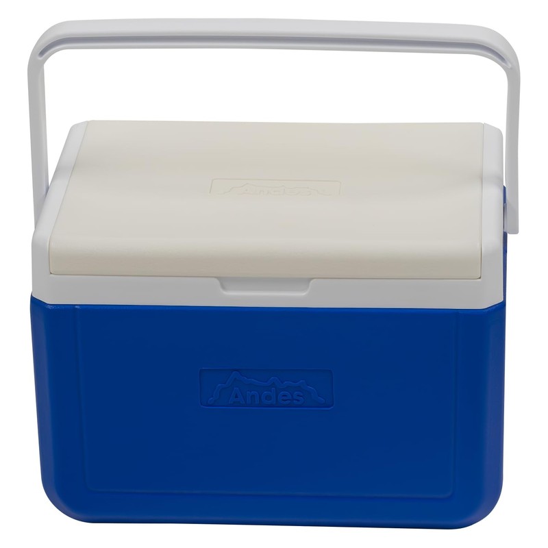 Andes 5L Cool Box for Food and Drinks, Fits 6