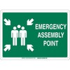 Brady 139598 Plastic "EMERGENCY ASSEMBLY POINT" Sign, Text and Symbol,