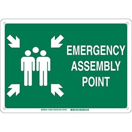 Brady 139598 Plastic "EMERGENCY ASSEMBLY POINT" Sign, Text and Symbol, 10" H x 14" W, White on Green