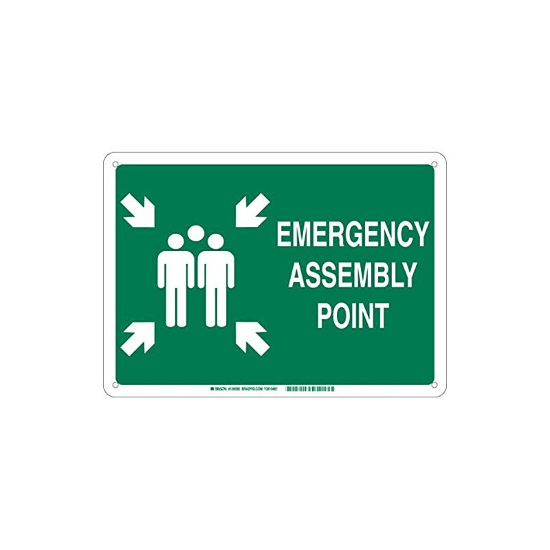 Brady 139598 Plastic "EMERGENCY ASSEMBLY POINT" Sign, Text and Symbol,