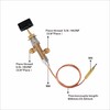 Low Pressure LPG Propane Gas Fireplace Fire Pit Flame Failure