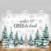 MEHOFOND 7x5ft Winter Onederland Backdrop Kids 1st Birthday Photography Background