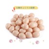 [CRSHIP] Plastic Fake Dummy Egg Chicken Layer Cage Artificial Nest