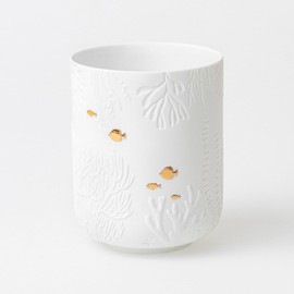 Räder Lantern Fish