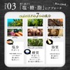ベジエ ベジバリア塩糖脂ブラック 180粒