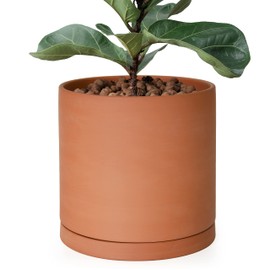 D'vine Dev Large 10 Inch Terracotta Plant Pot with Drainage Hole and Saucer, Round Cylinder Planter Pot for Indoor Plants, 40-X-A-5
