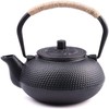 suyika Japanese Tetsubin Cast Iron Teapot Tea Kettle pot with