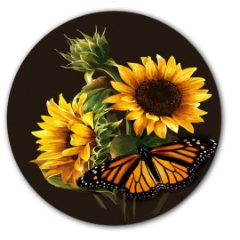 Unbranded DJ Sunflower #2 Helianthus 7" inch Slipmat Portablism Turntable Slip Mat DJ x1