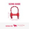 KONG Goodie Bone with Rope Dog Toy, Rojo, XS