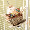 3 Pieces Bird Toy, Bird Parrot Toy, Parrot Toy, Budgie