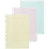 Maruman L1244-99 Loose Leaf B5 Smart Review Memorizing Rule, 0.3