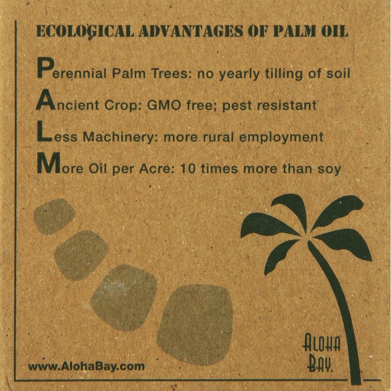 Aloha Bay Palm Wax Tea Lights with Aluminum Holder Cream