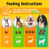 PENPEN Probiotics for Dogs, Dogs Probiotics for Digestive Health, Multi-Probiotic