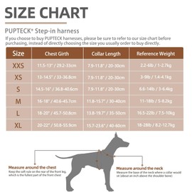 PUPTECK Adjustable Dog Harness Collar and Leash Set Step in No Pull Pet Harness for Small Medium Dogs Puppy and Cats Outdoor Walking Running, Soft Mesh Padded Reflective Vest Harnesses, Blue M