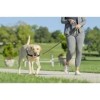 PetSafe Easy Walk Harness | No-Pull Leash Training Dog Harness