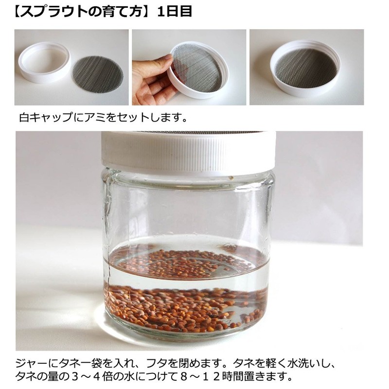 Green Field B006 Sprout Cultivation Set My Sprout (Bean Sprout