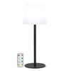Abbott Collection Black Outdoor LED Table Light/Lamp with Remote -