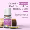 Pranarom - Periodontal Support Wellness Blend - 5ml