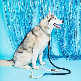 Found My Animal - Dark Multi Ombre Cotton Rope Dog Leash, (Medium, 7 ft) - Heavy Duty Dog Training Leash - Adjustable Solid Brass Lockable Carabiners - Handcrafted Braided Dog Leash Rope