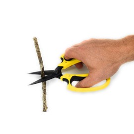 Micman Professional Grade Floral Scissors.