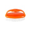 Parodi & Parodi spazzolinda Clothes Peg Brush, Plastic, Multi-Colour, 11