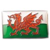 Metal Enamel Pin Badge Wales Dragon Welsh Flag Saint David