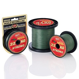 WFT KG Strong Cord 300 m 0.12 mm 15 kg, Colour: Green