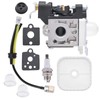 NIMTEK PB-251 Carburetor with Air Filter Spark Plug Tune up