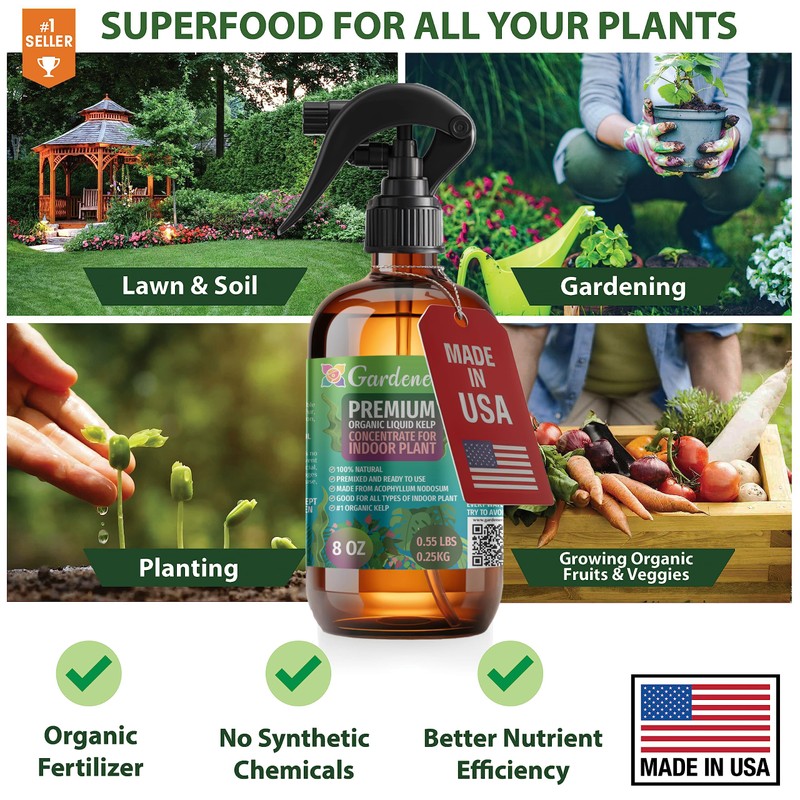 GARDENERA Professional Organic Liquid Kelp Spray for Begonia Plants -