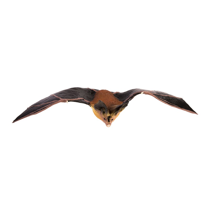 Toob "Safari Incredible Creatures Townsend's Big-Eared Bat Miniature (Multi-Colour)
