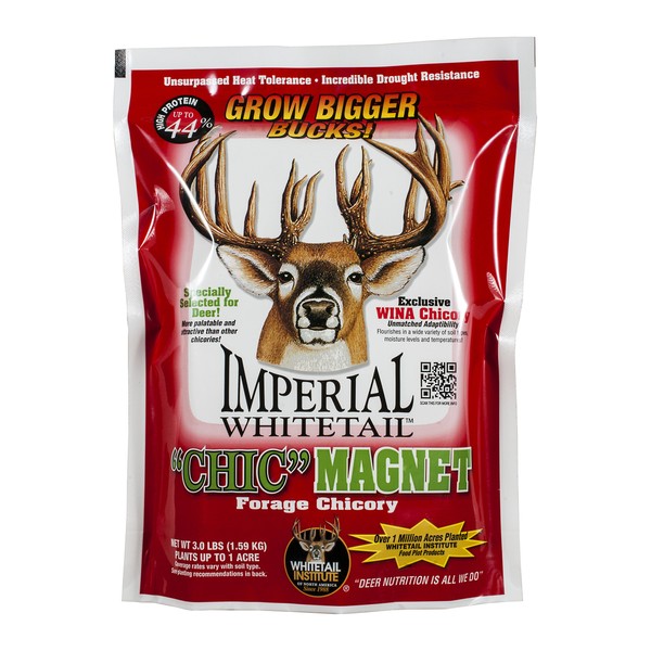 Whitetail Institute Chic Magnet Deer Food Plot Seed, WINA-100 Perennial Forage Chicory Attracts Deer and Provides Antler-Building Protein, Heat, Cold and Drought Tolerant, 3 lbs (1 Acre)