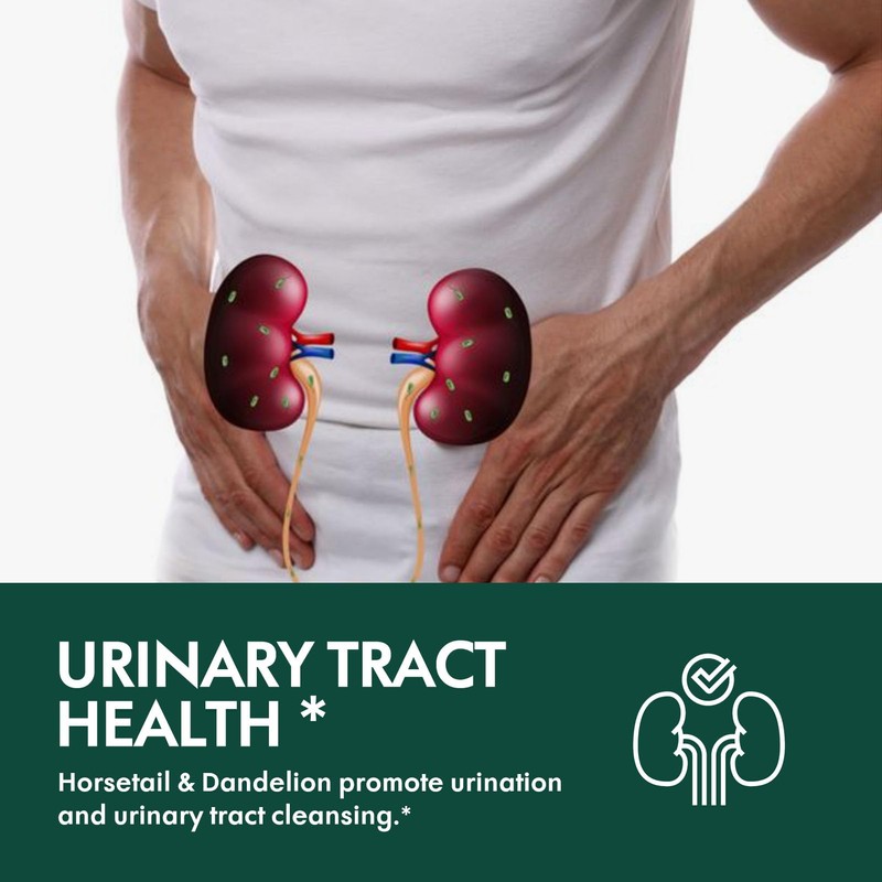 Selvaherb Horsetail Herb (Cola de Caballo Hierba) Drops for Body