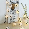 20FT 40LED String Lights Football Soccer Shaped Fairy Lights LED