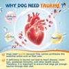 Taurine for Dog Taurine Powder, Heart Cardiac Vision Energy Hip