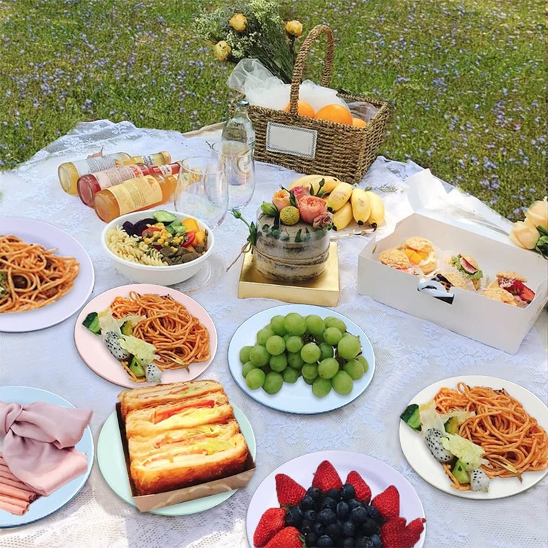 10inch 11inch Dinner Plates Set of 10, Reusable Wheat Straw