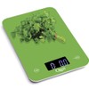 Ozeri Touch Professional Tempered Glass Digital Kitchen Scale, Lime Green