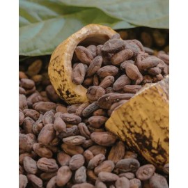 Grano De Cacao Fermentado Orgánico 1 Kg | Santo Cacao
