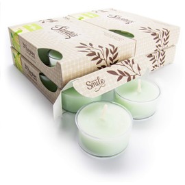 Cucumber Melon Premium Tealight Candles Bulk Pack - 24 Green Highly Scented Tea Lights - Beautiful Candlelight - Made in The USA - Fresh & Clean Collection