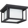 Sea Gull Lighting 79039EN3-12 Hunnington Two Light Outdoor Ceiling Flush