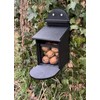 Squirrel Feeding Box - Squirrel Feeding Station - Squirrel Feeding