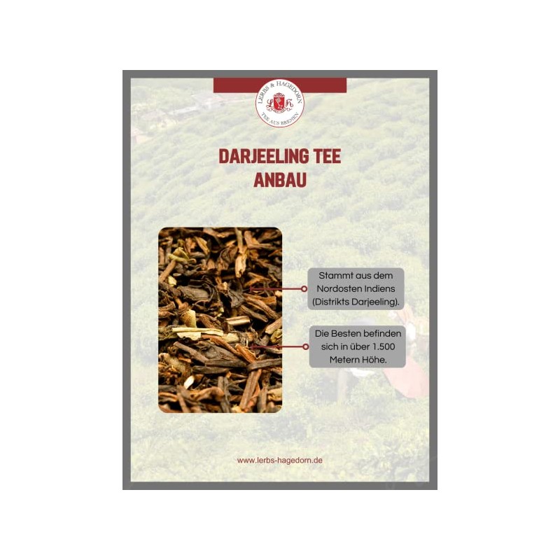 Lerbs & Hagedorn, Black Tea Earl Grey Blue Star with