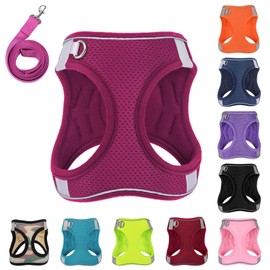 PWOD Dog Harness with Leash Set, No-Pull Step-in Reflective Pet Harness with 1 Leash Clips, Adjustable Soft Padded Easy Walk Dog Vest for Small Medium Large Dogs, Cats(Rose Red, XXXSmall)