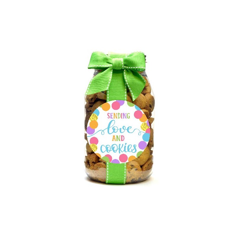 Nam's Bits Chocolate Chip Cookies - Sending Love Quart Jar