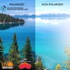 Apex Lenses Non-Polarized Replacement Lenses for GOODR Artifacts Not Artifeelings
