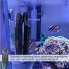 Magnetic Aquarium Seaweed Feeder - Floating Nori Holder Clip for