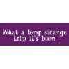 What a long strange trip it's been - Hippie Vinyl Decal Bumper Sticker, T057