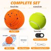 PETSWEET Remote Control Dog Toy Ball, Interactive Self Bouncing E-TPU