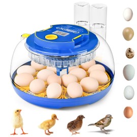 18-36 Egg Incubator with Automatic Egg Turning & Smart Humidity Control - Digital Poultry Hatcher for Chicken, Duck, Quail, Goose, Parrot Eggs - 360° View for Farm, Classroom, Home Use
