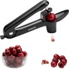 Cherry Pitter - Ordekcity Stainless Steel Cherries Corer Pitter Tool
